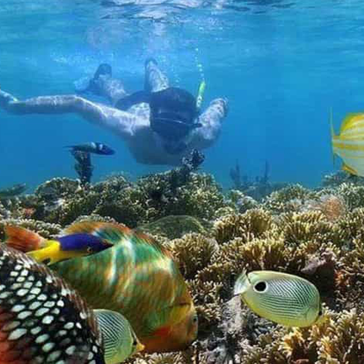 Ussey Tours & Travel