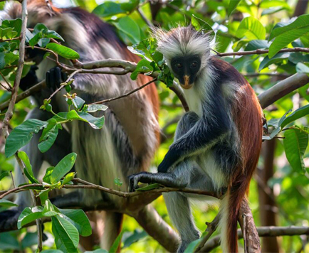 Ussey Tours & Travel