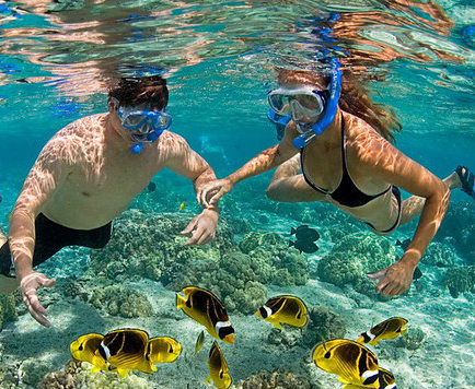Ussey Tours & Travel
