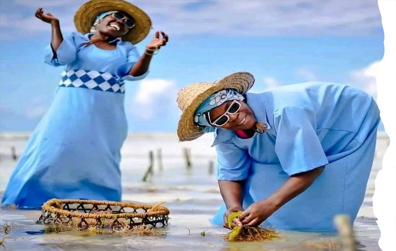 Ussey Tours & Travel