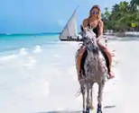 Ussey Tours & Travel