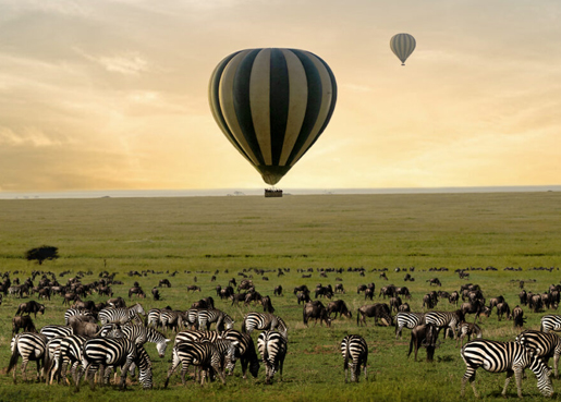  2 DAYS/1 NIGHT SAFARI IN MIKUMI PARK FROM ZANZIBAR DEPARTURE FROM ZANZIBAR