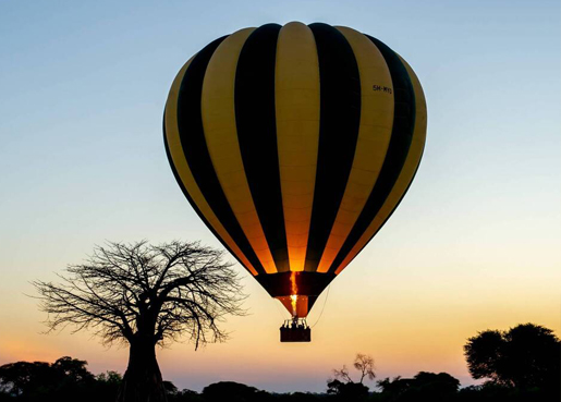 2 DAYS/1 NIGHT SAFARI IN MIKUMI PARK FROM ZANZIBAR DEPARTURE FROM ZANZIBAR
