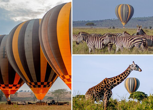  2 DAYS/1 NIGHT SAFARI IN MIKUMI PARK FROM ZANZIBAR DEPARTURE FROM ZANZIBAR