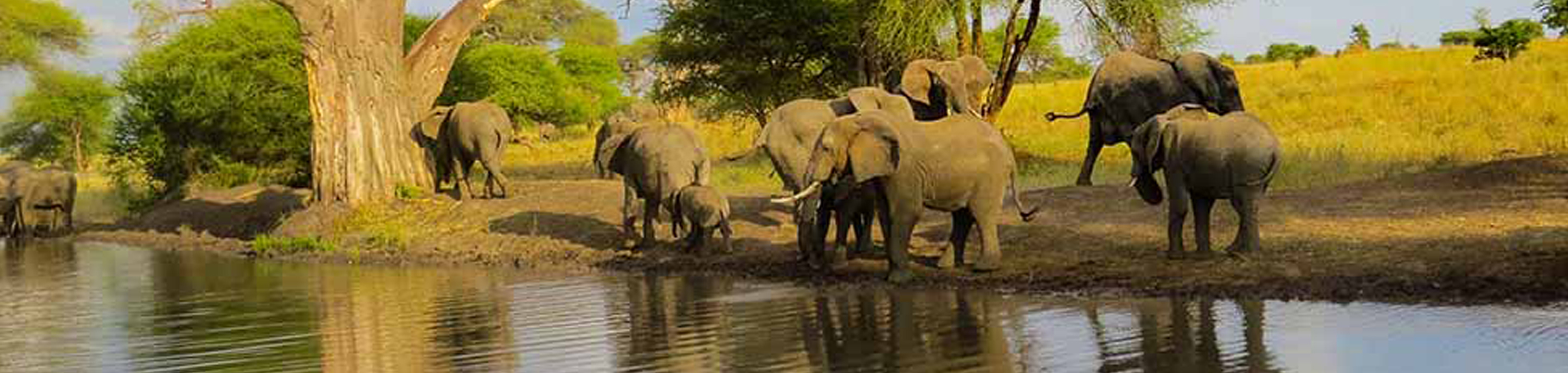 Ussey Tours & Travel