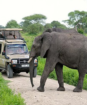 3 DAY SERENGETI AND NGORONGORO PARK SAFARI