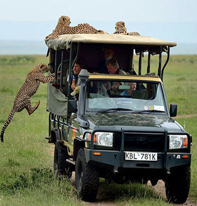 DAY TRIP ZANZIBAR TO MIKUMI NATIONAL PARK