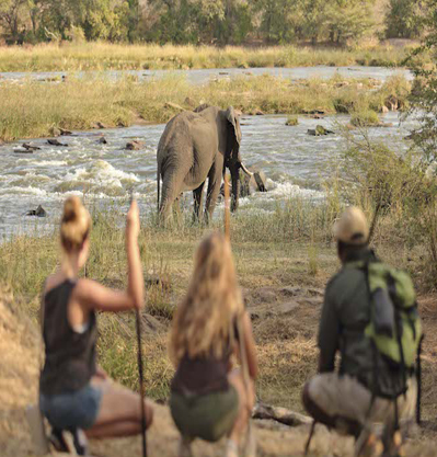 ONE DAY SAFARI TO SELOUS PARK