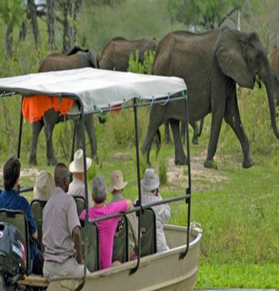 ONE DAY SAFARI TO SELOUS PARK