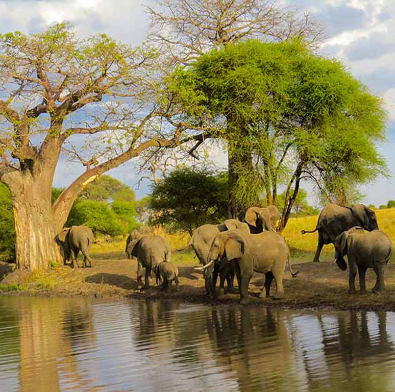 Ussey Tours & Travel