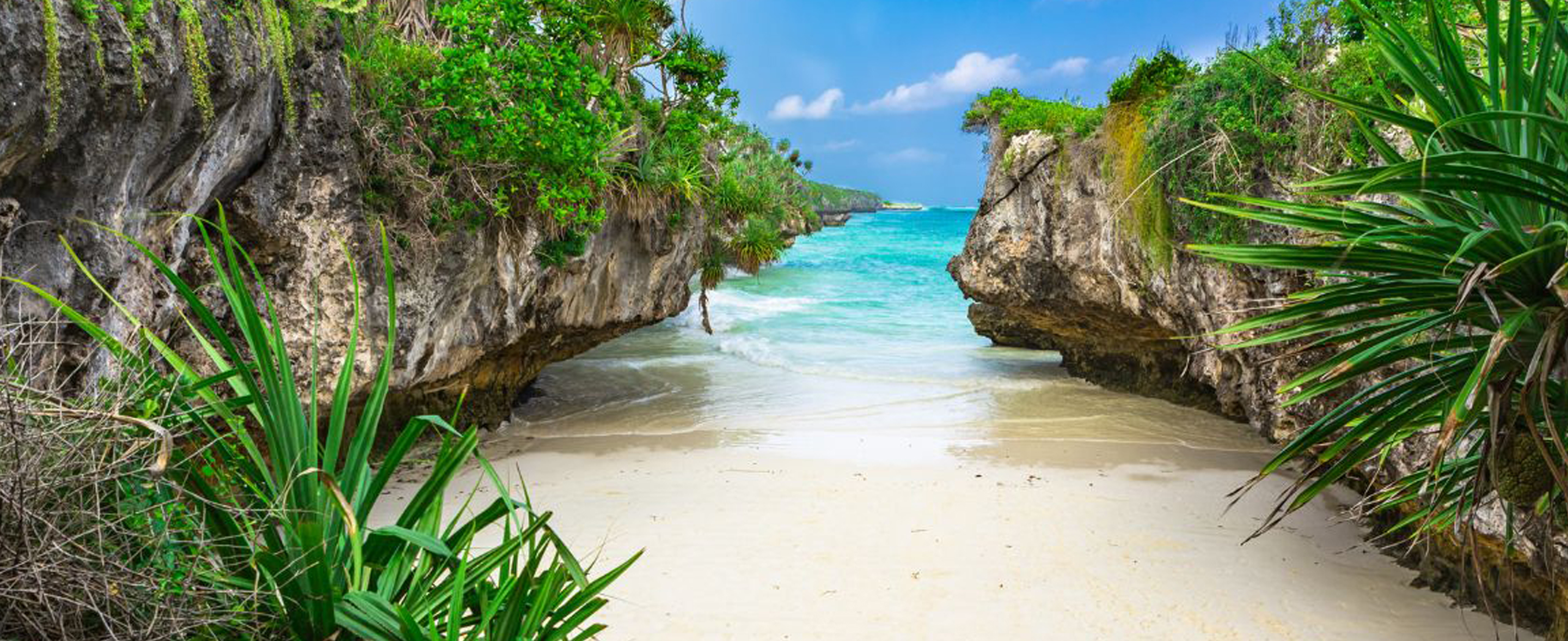 Ussey Tours & Travel
