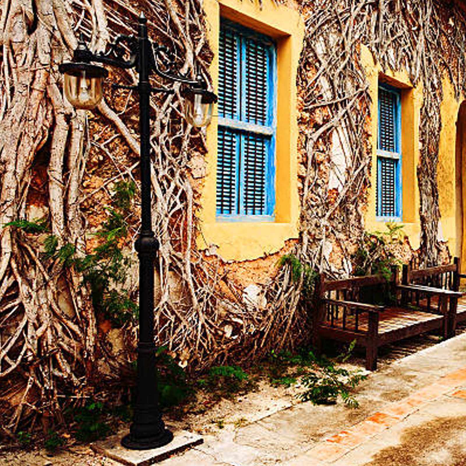 Ussey Tours & Travel