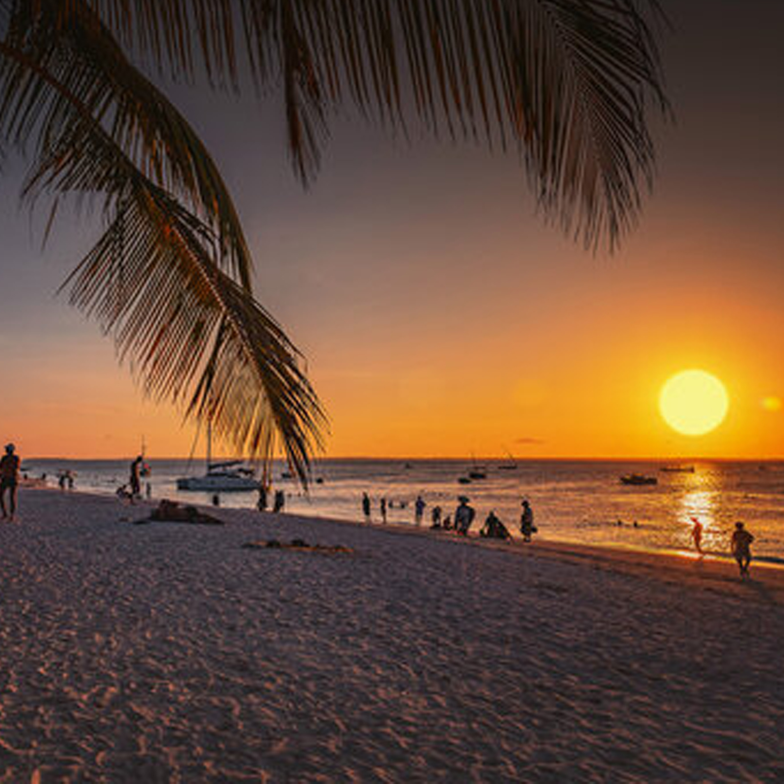 Ussey Tours &Travel