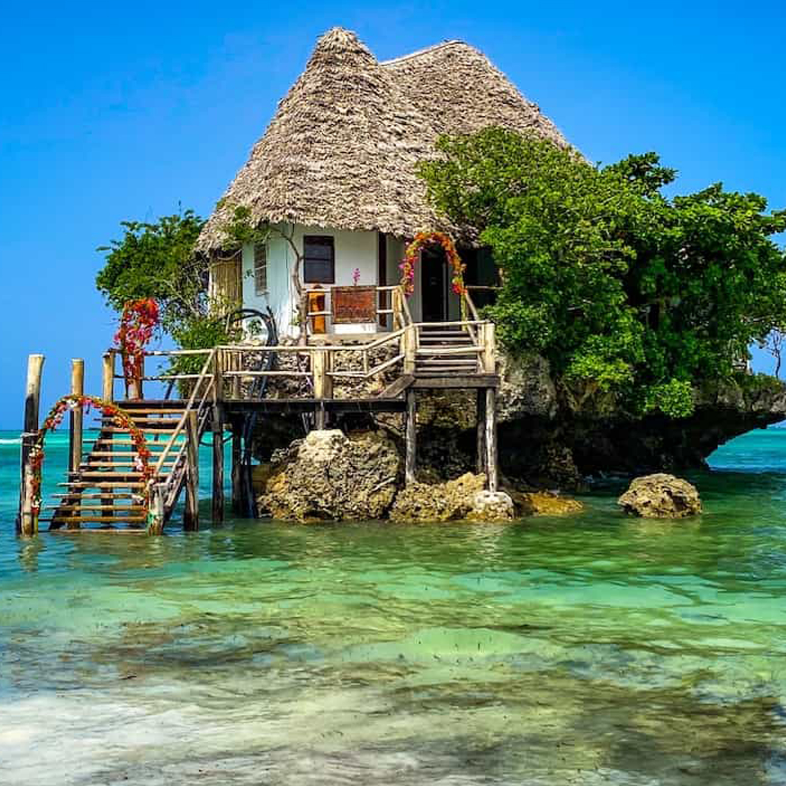 Ussey Tours & Travel