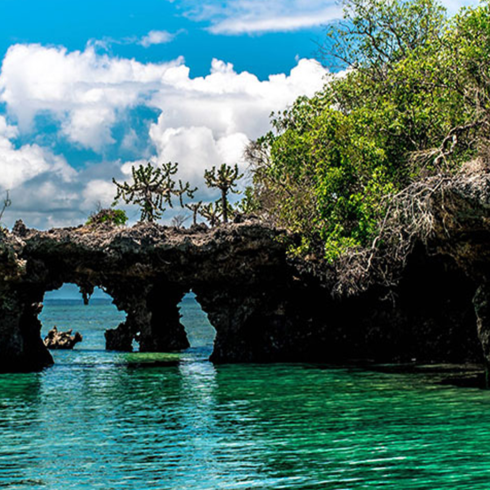 Ussey Tours &Travel